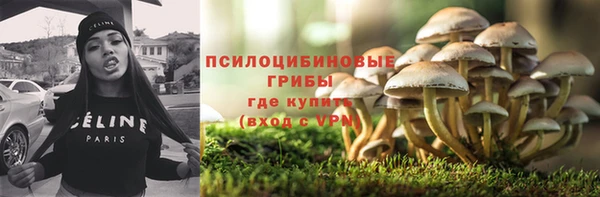 бутират Алексин