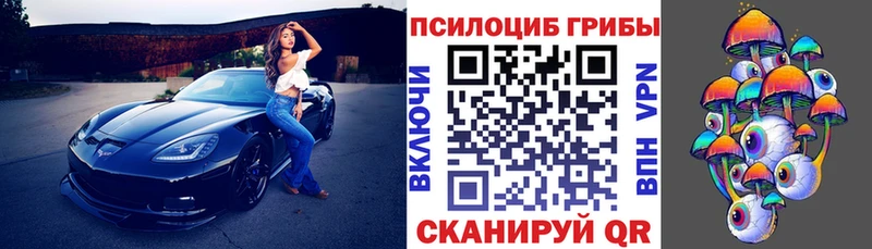 Псилоцибиновые грибы мицелий  Светлоград 