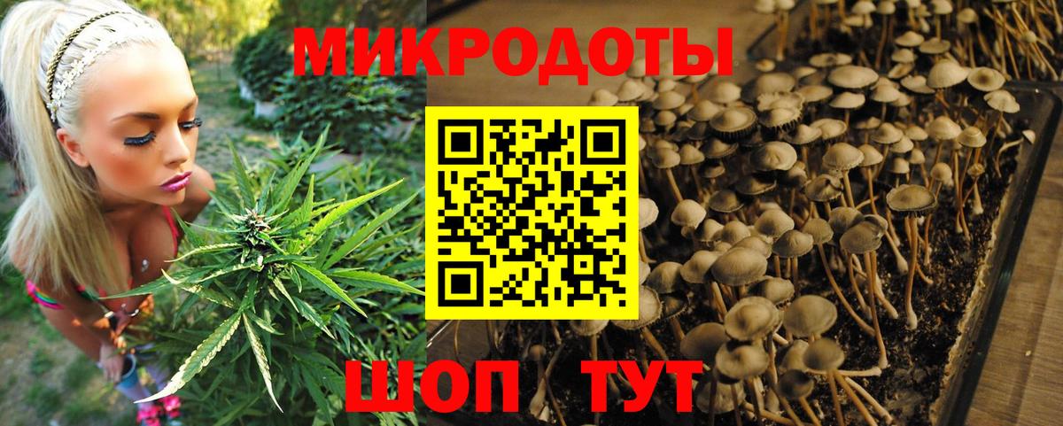 Псилоцибиновые грибы прущие грибы Светлоград